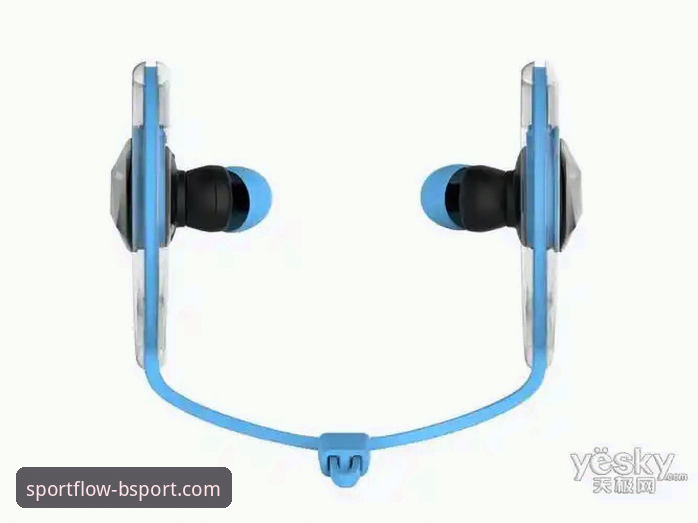 BSport体育平台官网地址与使用体验详解