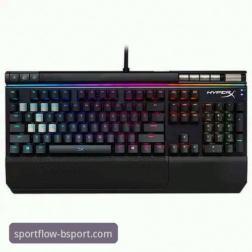 BSport体育电脑版功能详解与使用指南